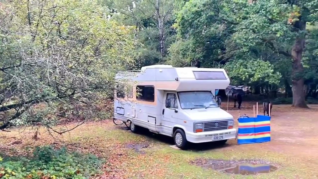 Hollands Wood Campside — Walktrough