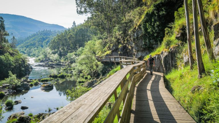 Paiva Walkways