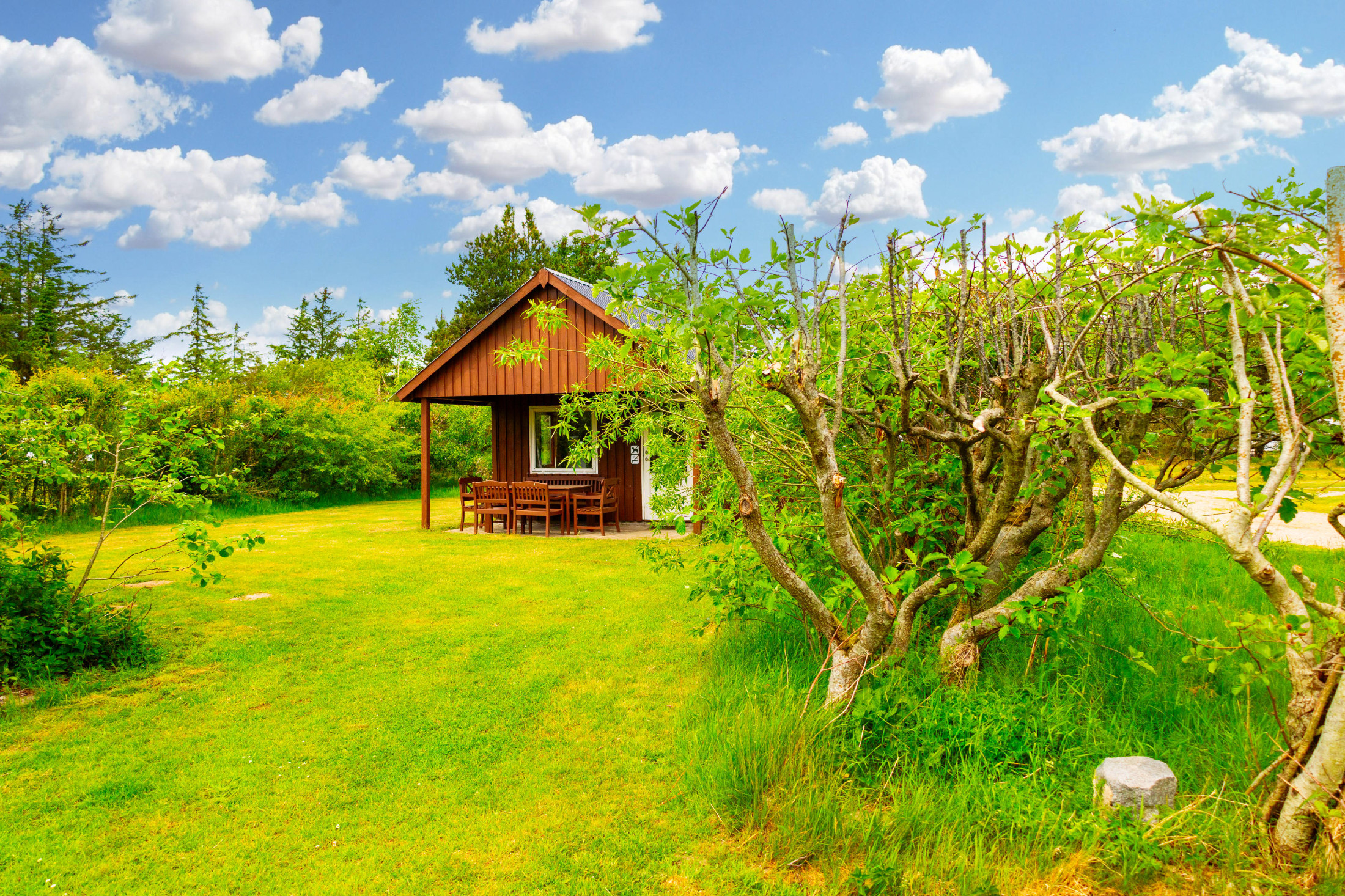 Blokhus Natur Camping