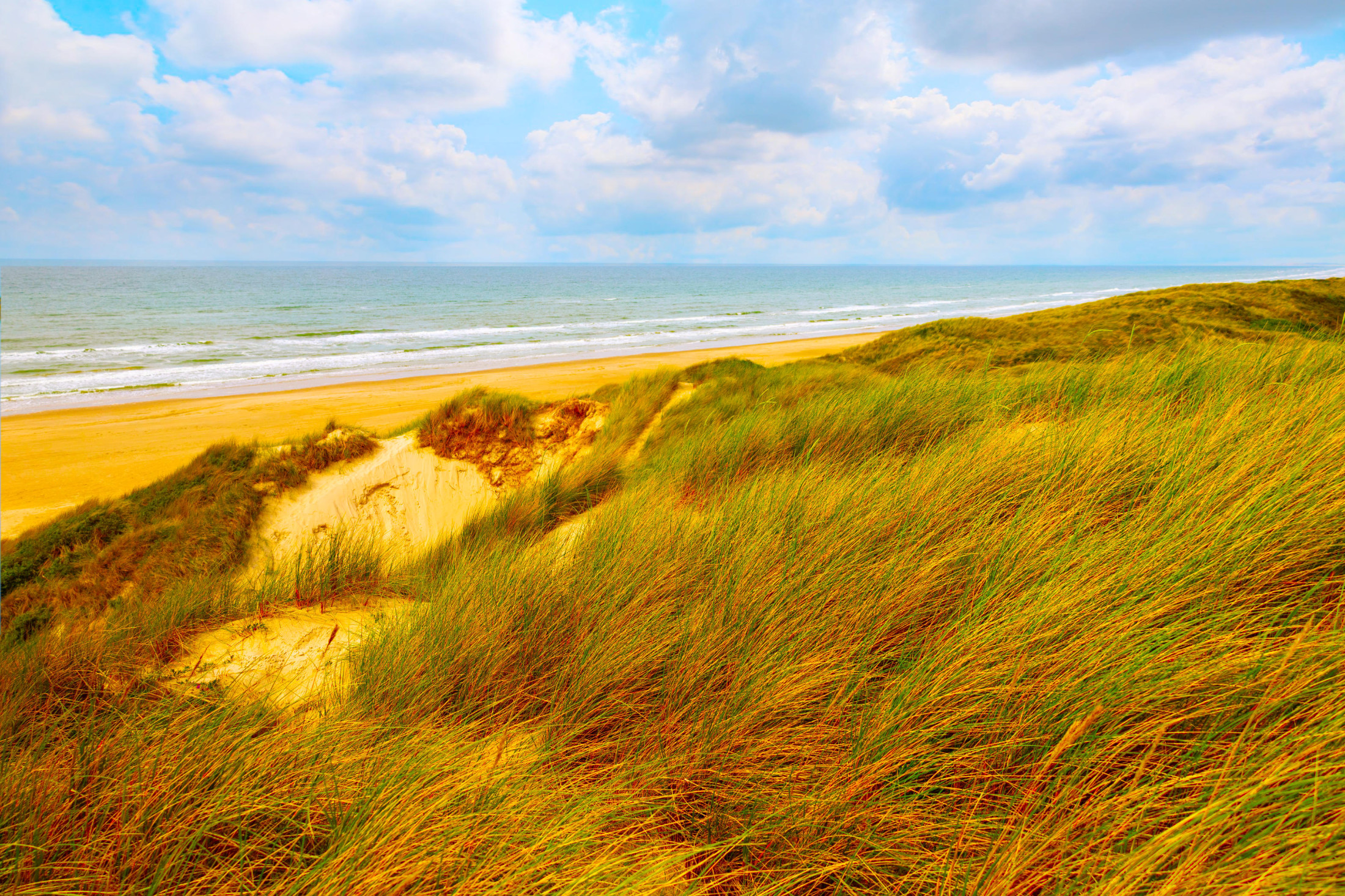 Blokhus Natur Camping