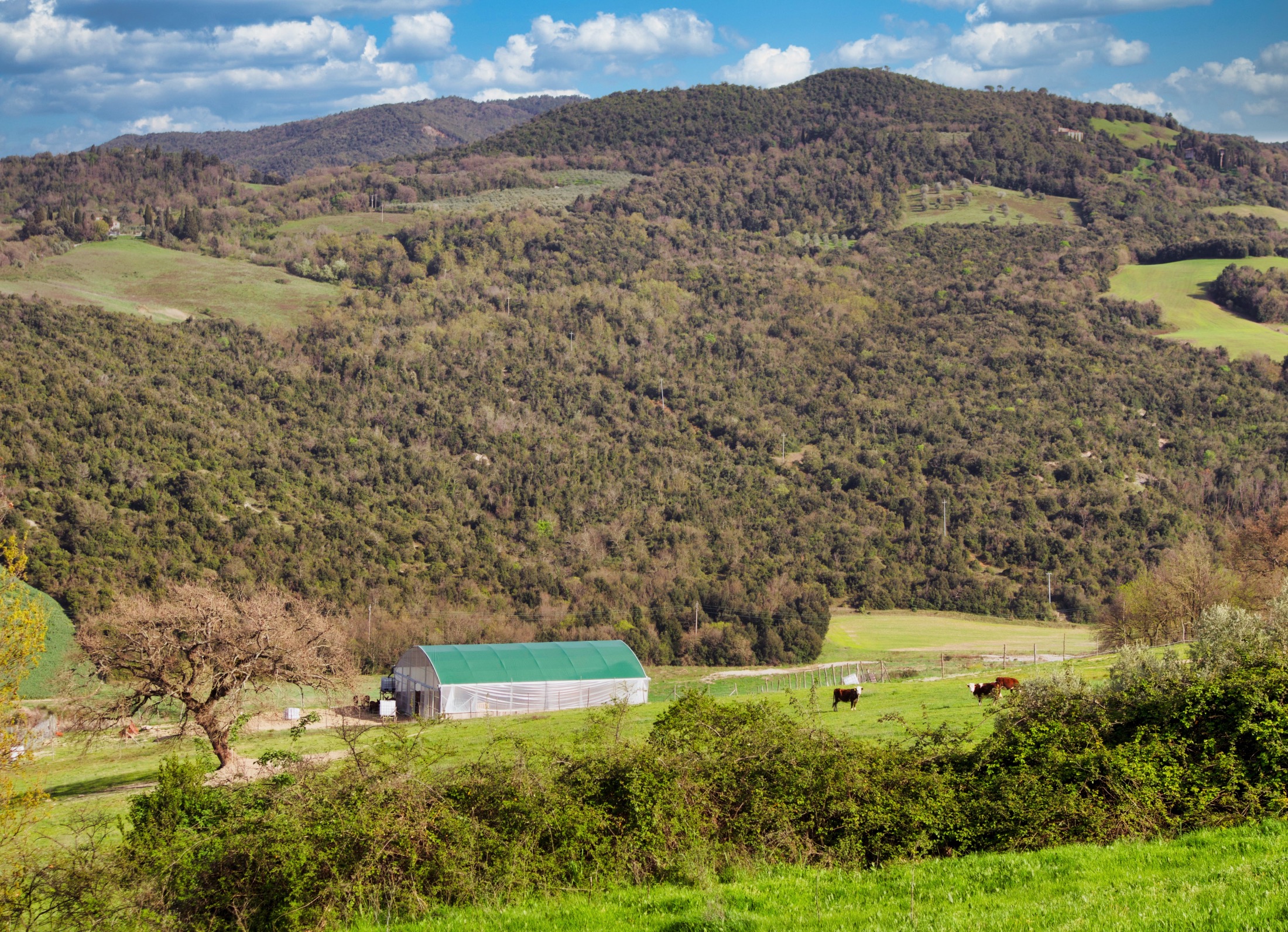 Agricampeggio Podernuovo