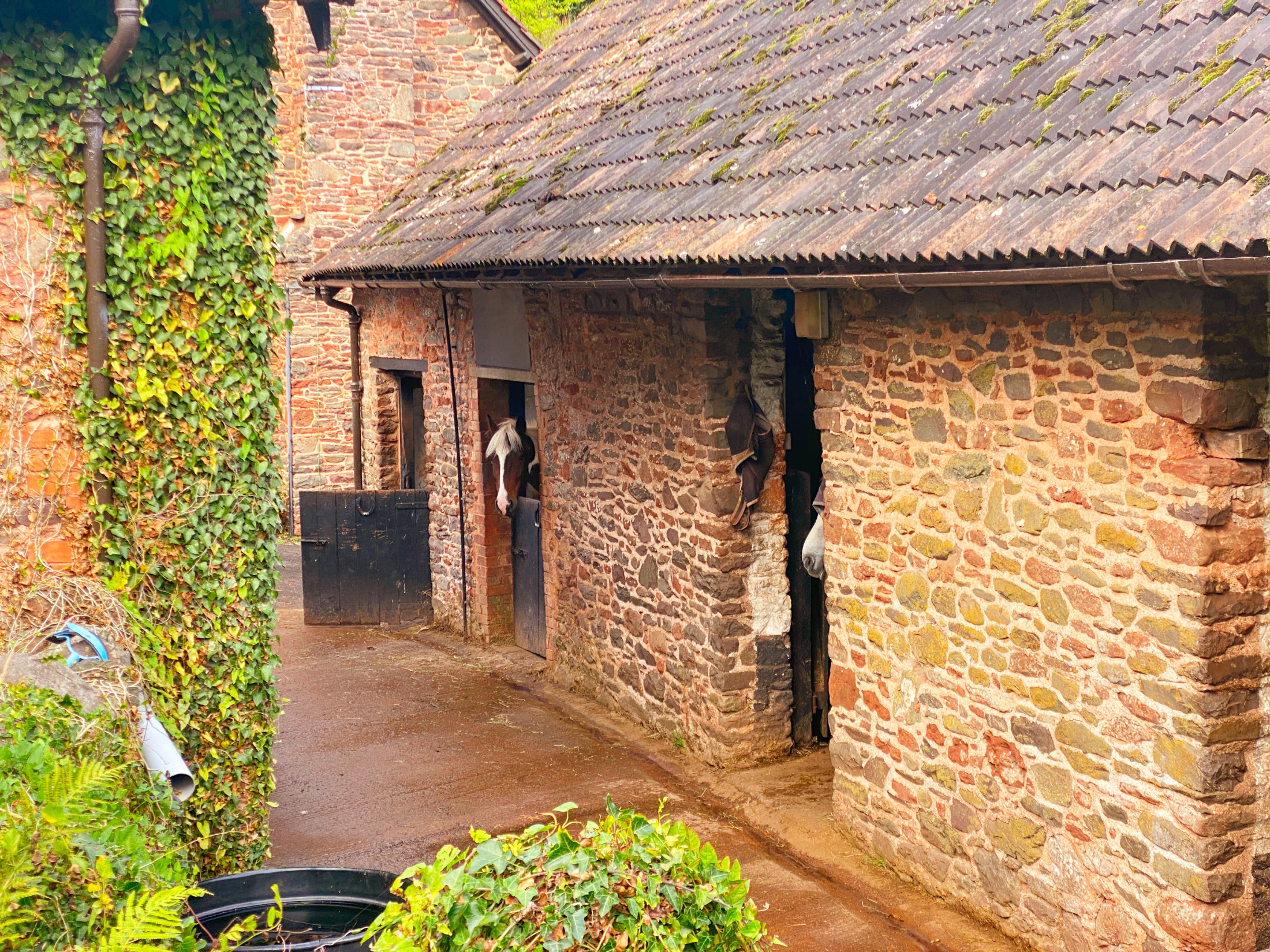Burrowhayes Farm