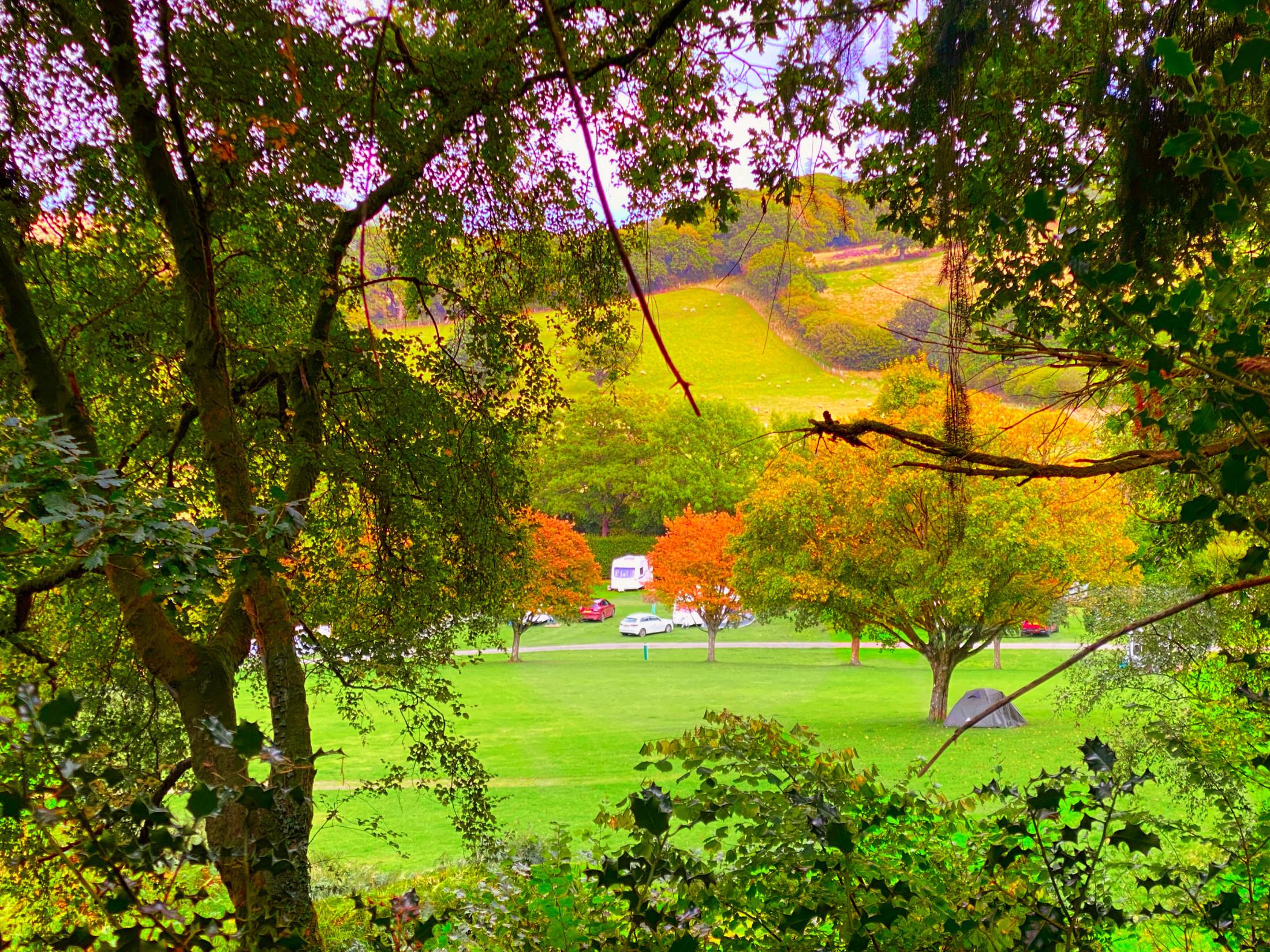 Burrowhayes Farm