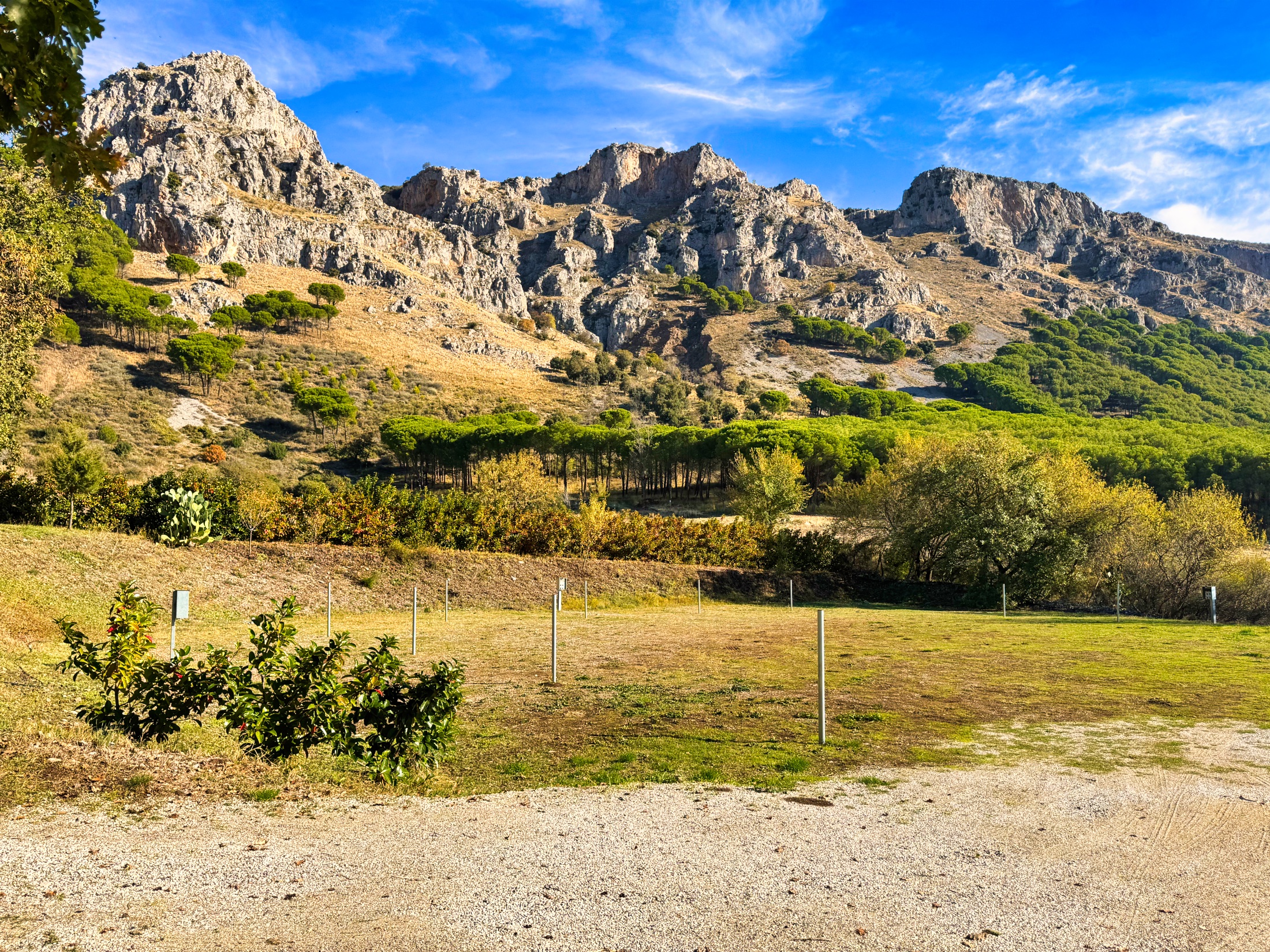 Vorea Camping