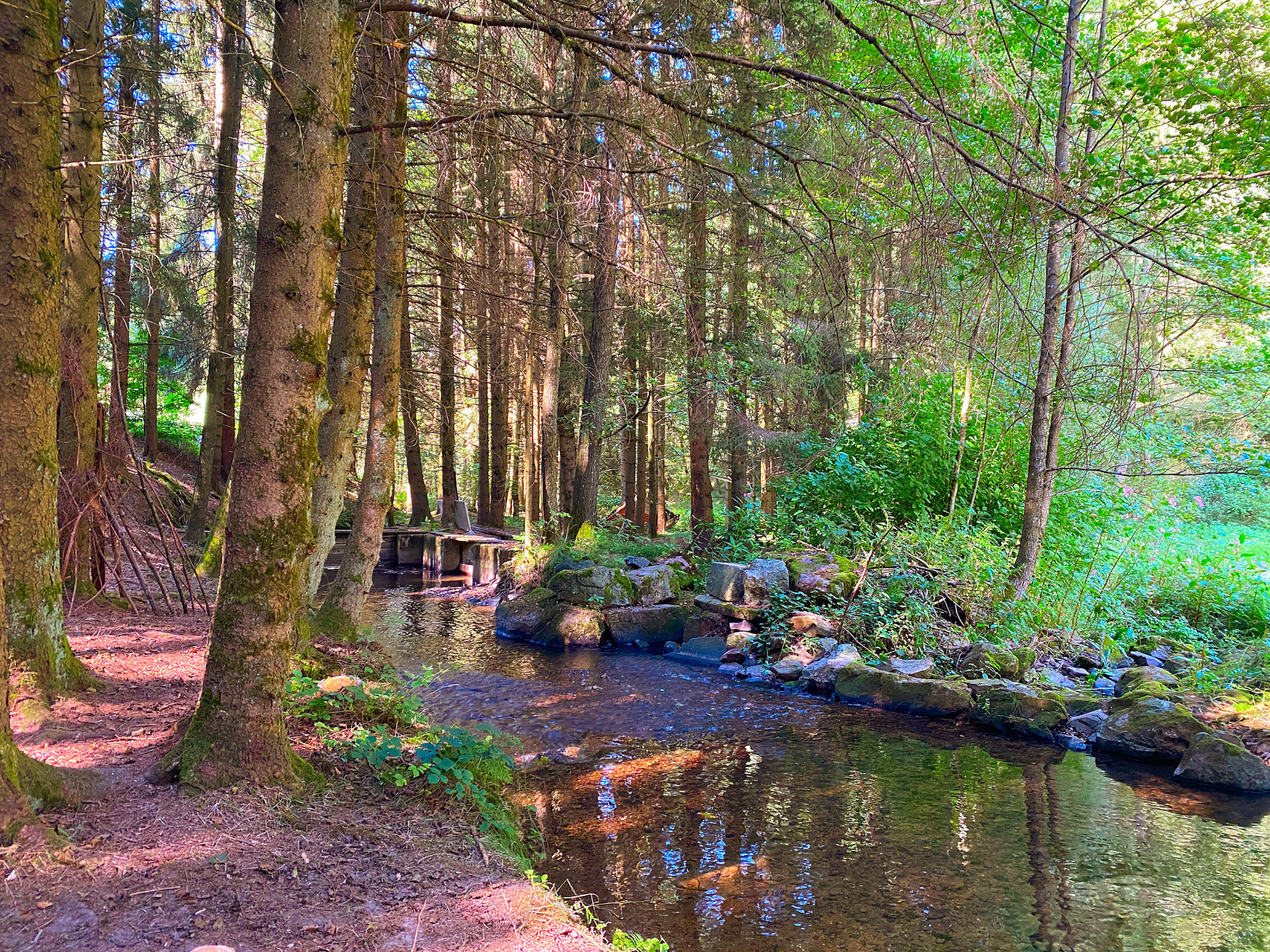 Naturcamping Perlbach