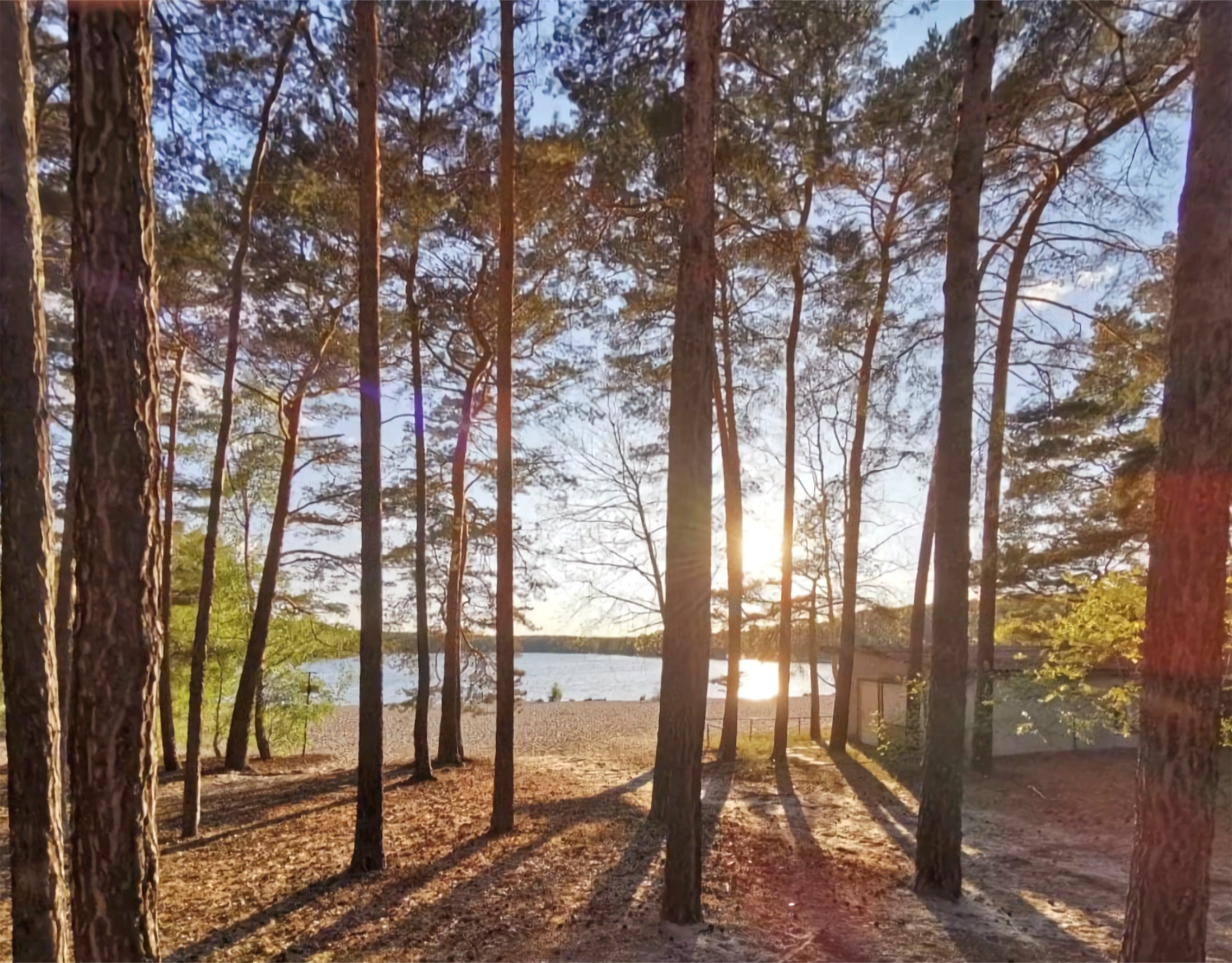 Waldcamping am Grosssee