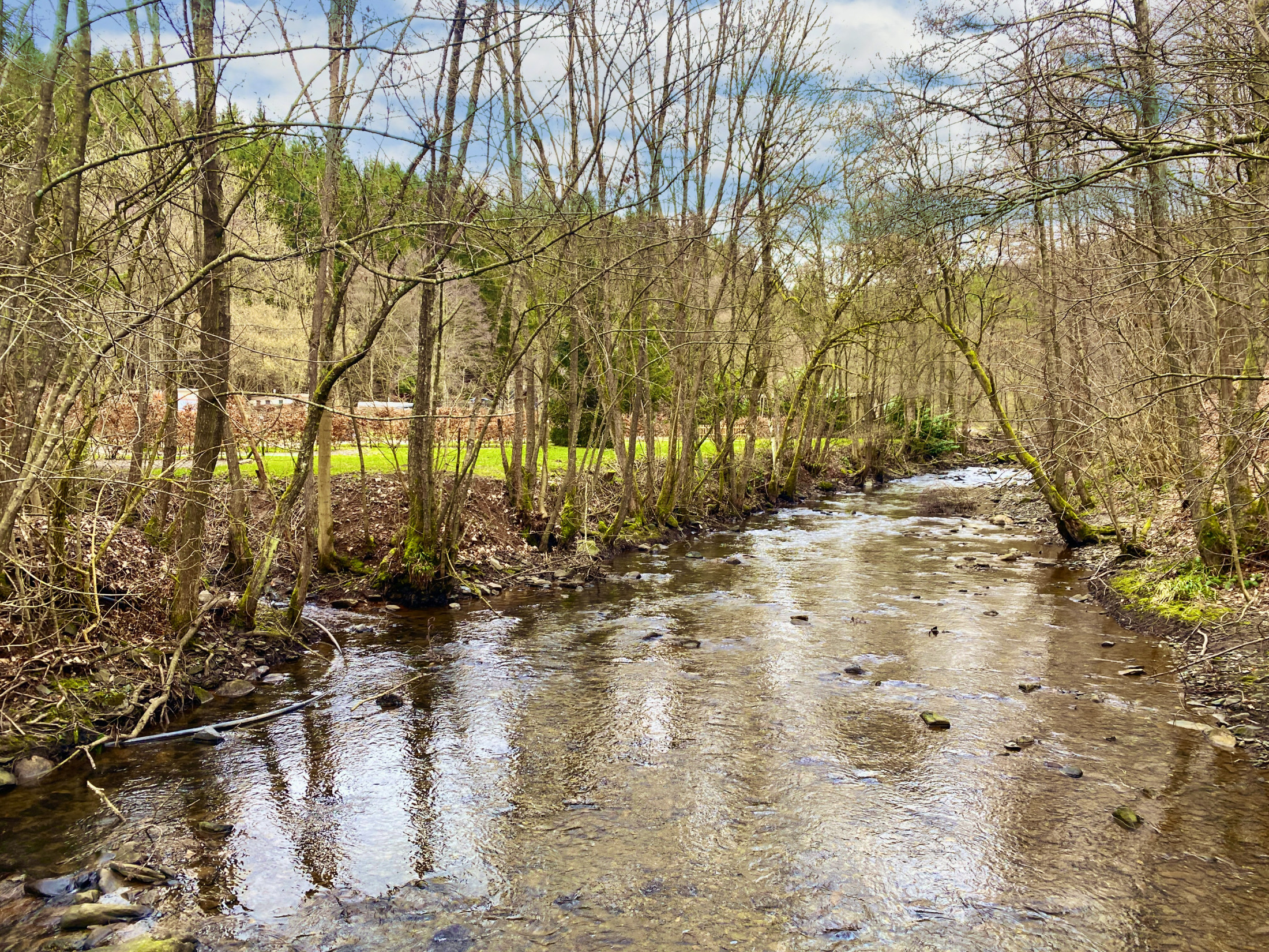 Camping du Moulin