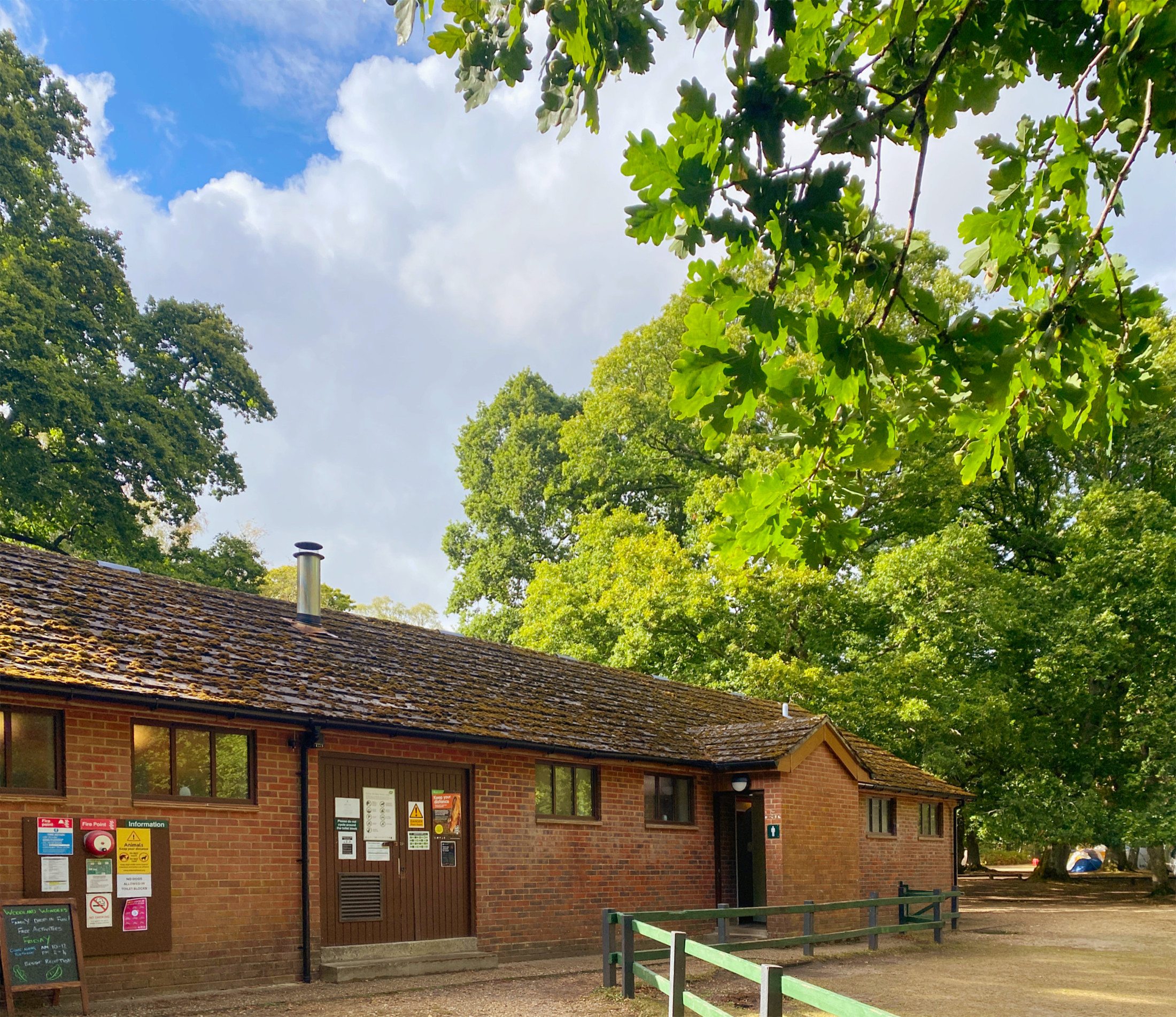 Hollands Wood Campsite