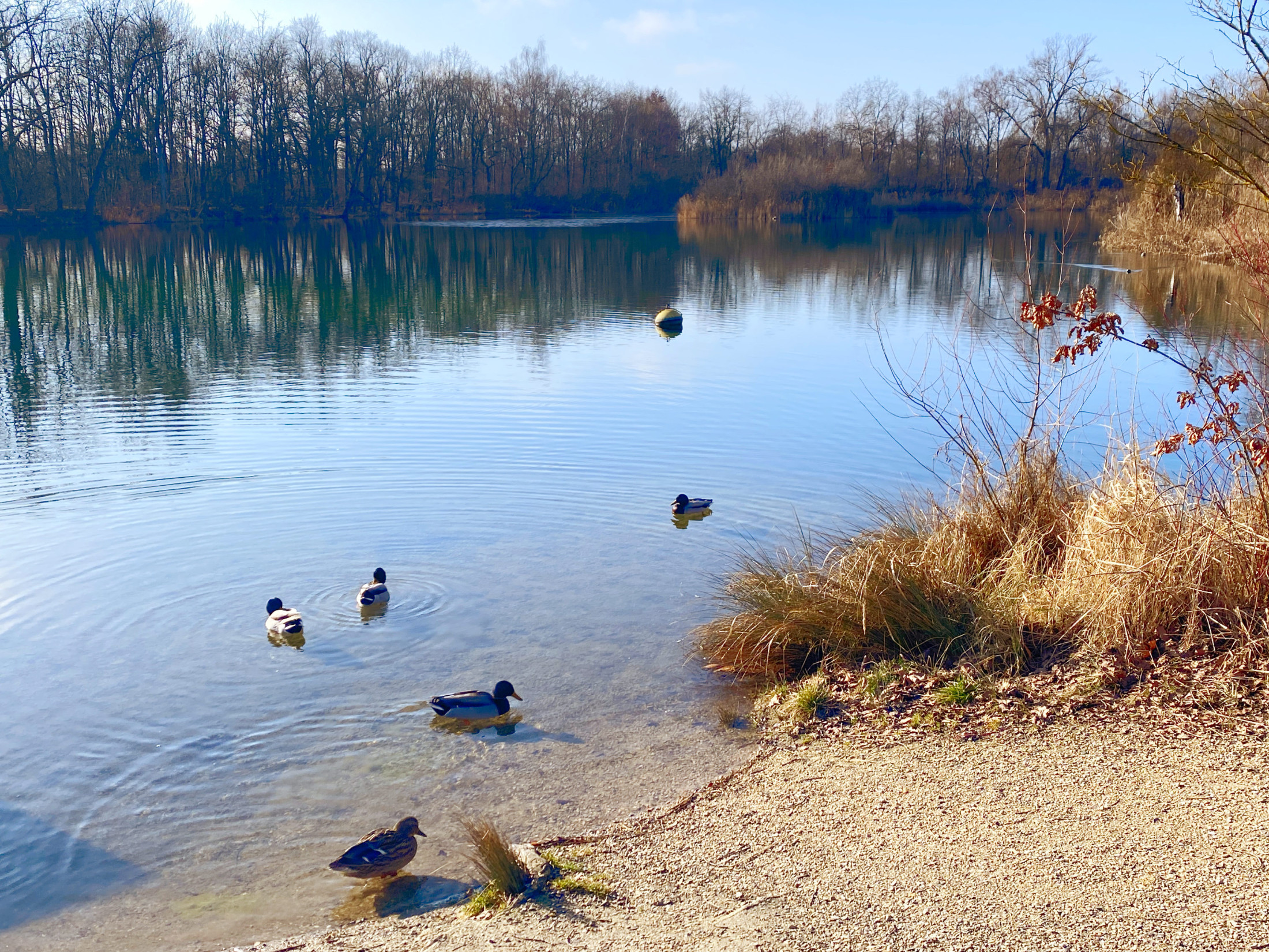 Azur Camping Auwaldsee Ingolstadt