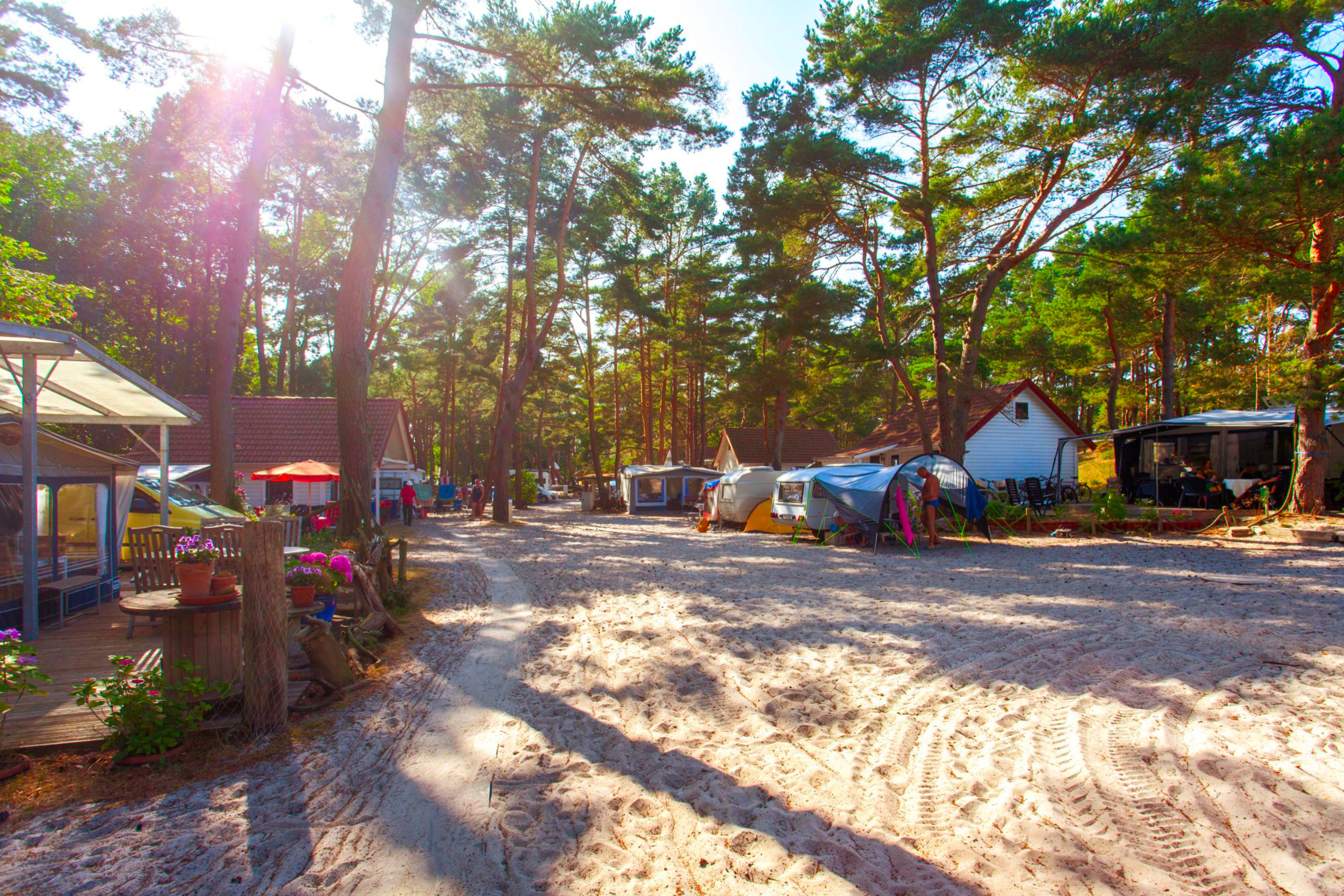 Meissner's Sonnencamp