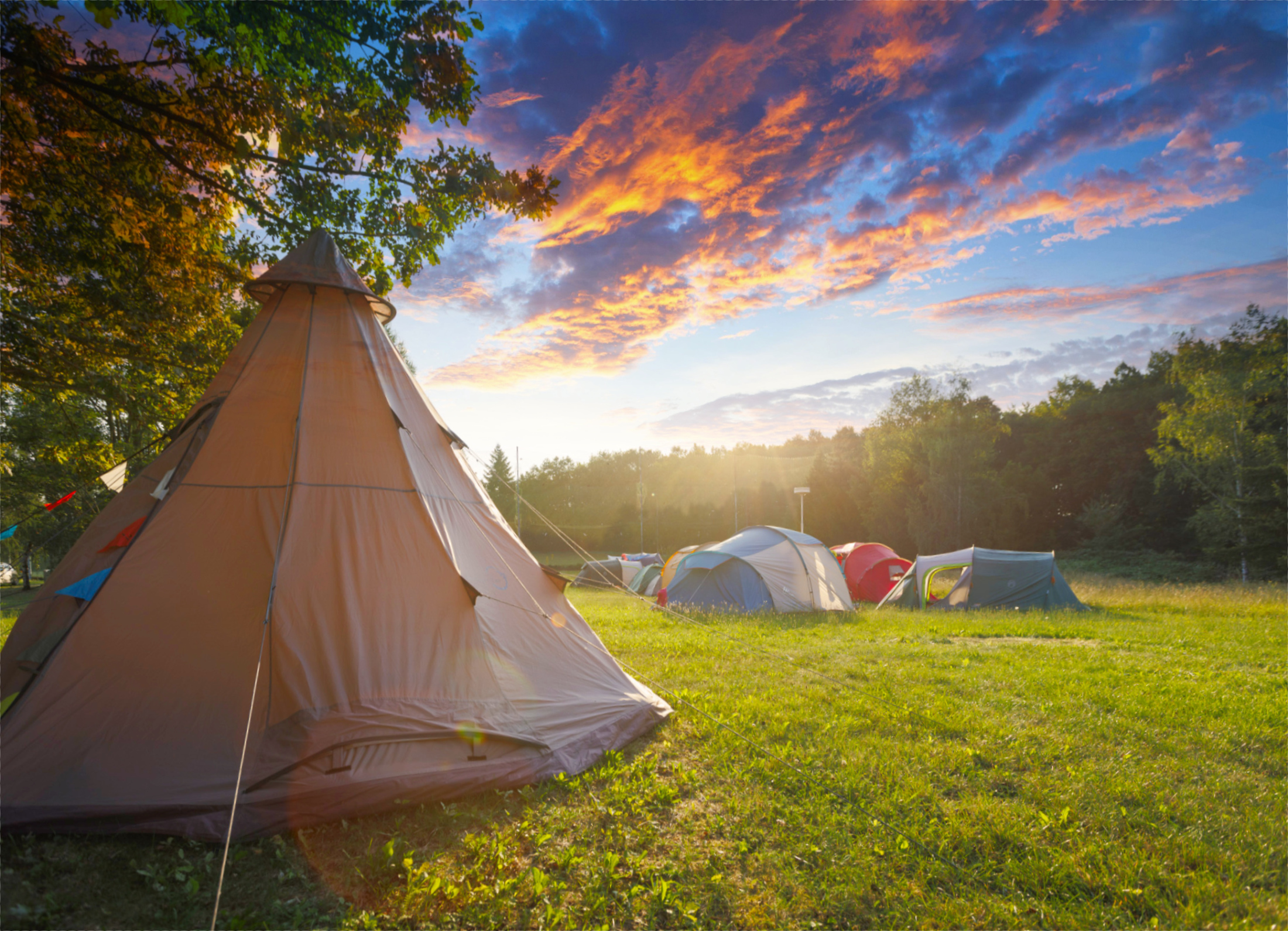 Camp Dzban
