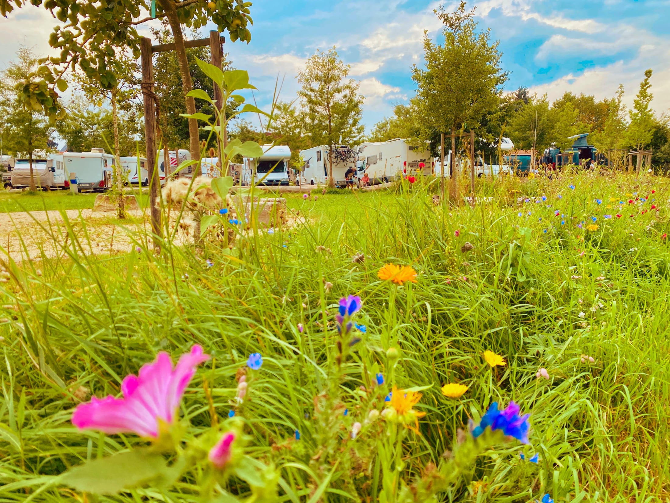 Dinklesbuhl Camper Park