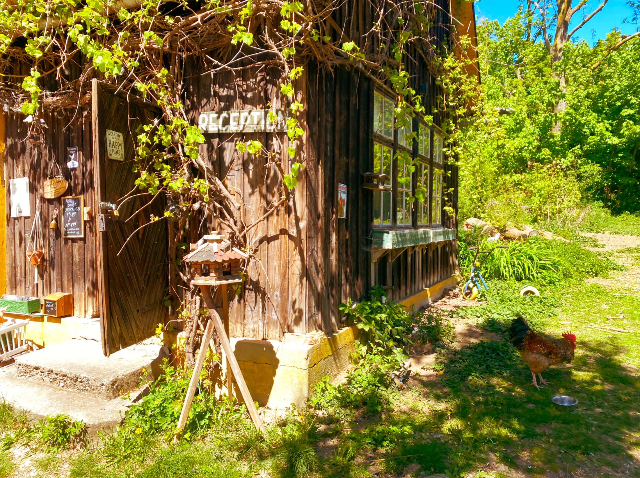 Finsterhof Camping