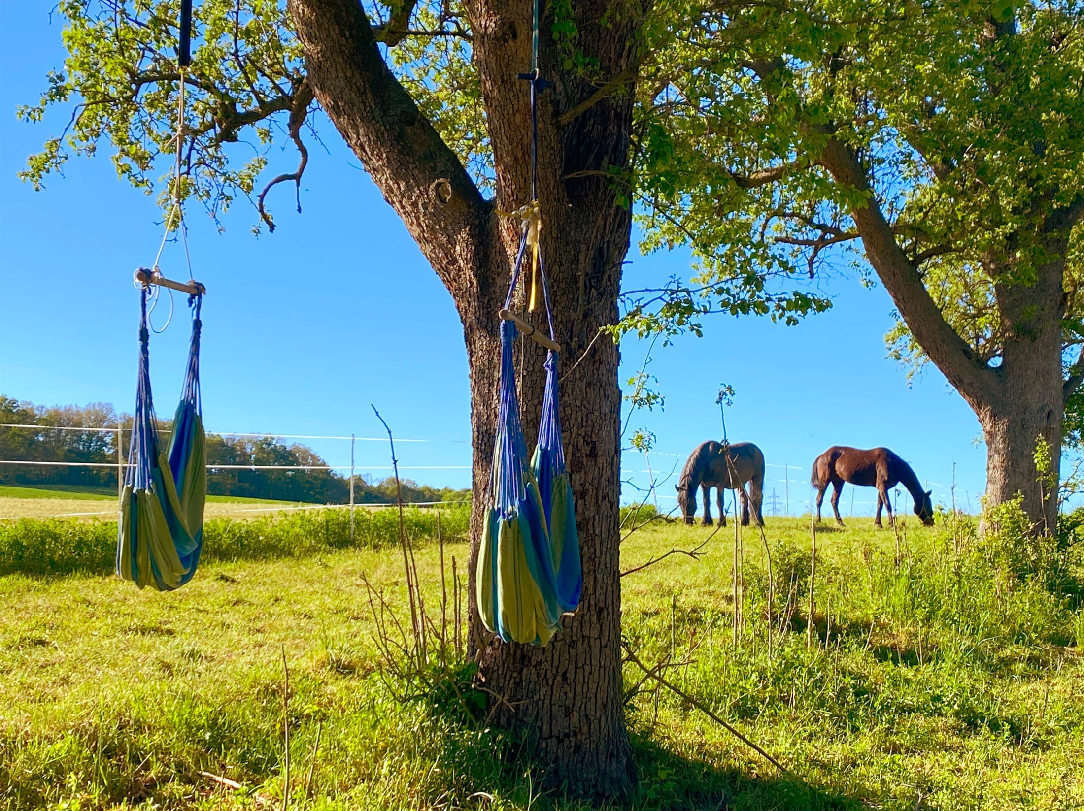 Finsterhof Camping