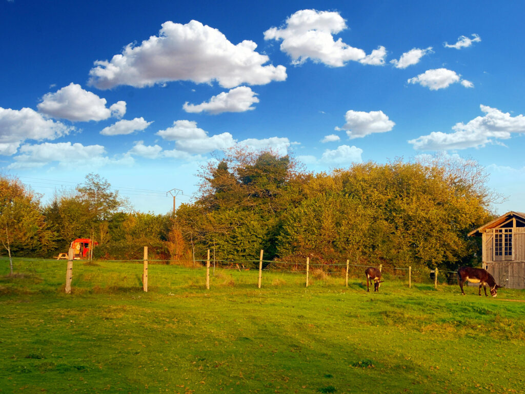 La Jourie Farm Camping