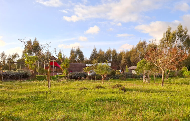 Quinta da Caria