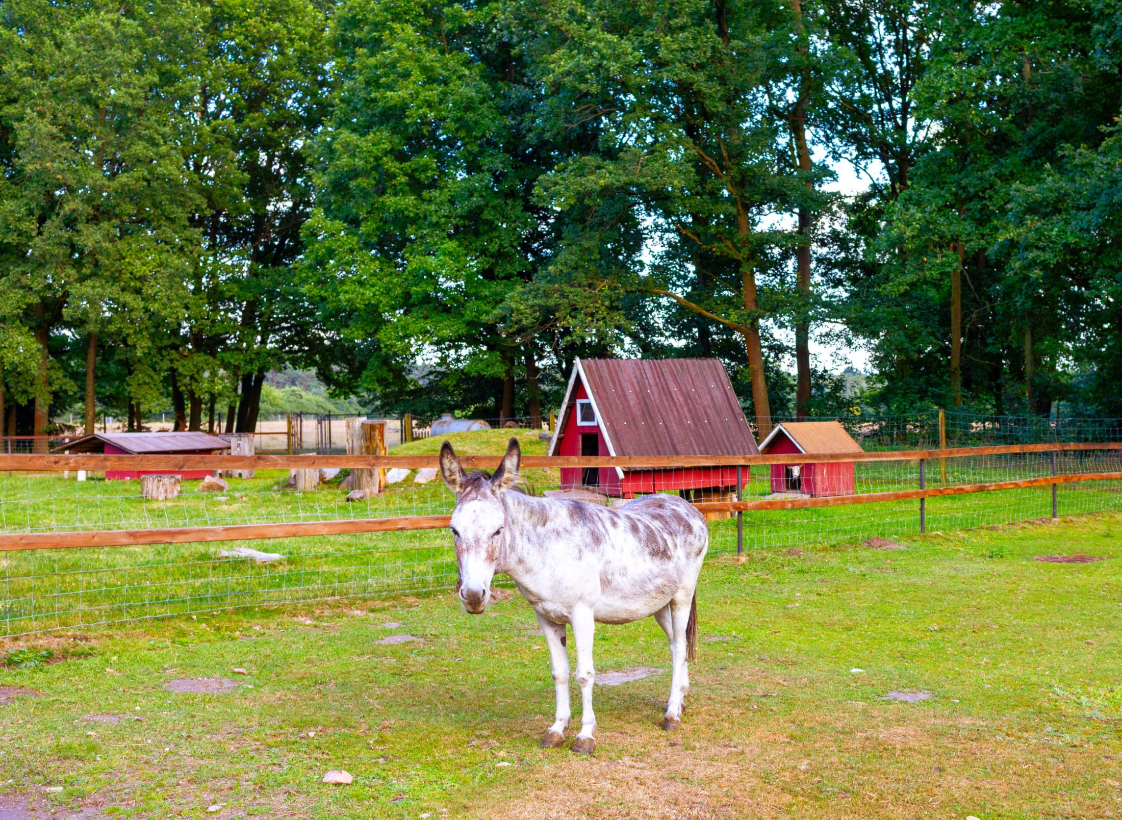 Freizeit and Camping Park Thräna