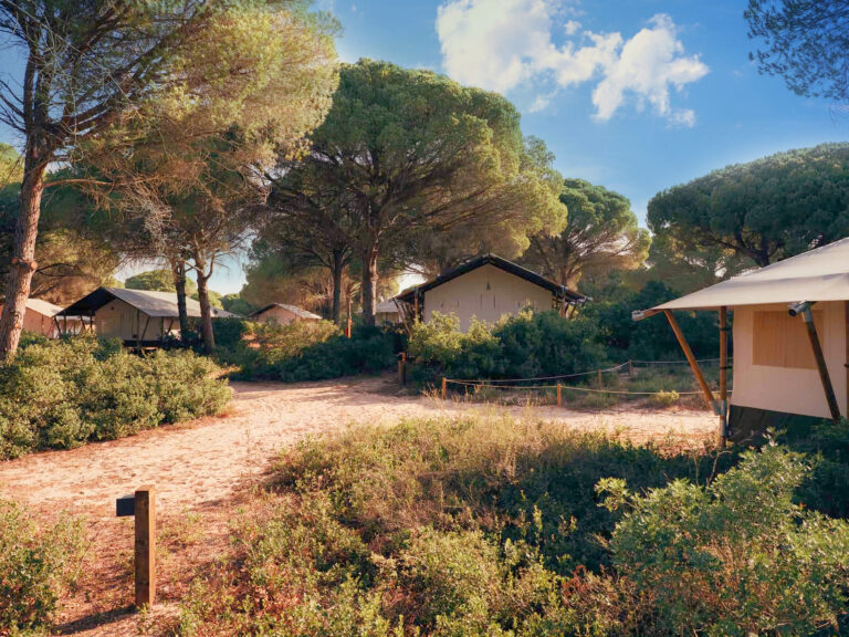 Wecamp Cadiz